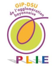 Plie bayonne logo